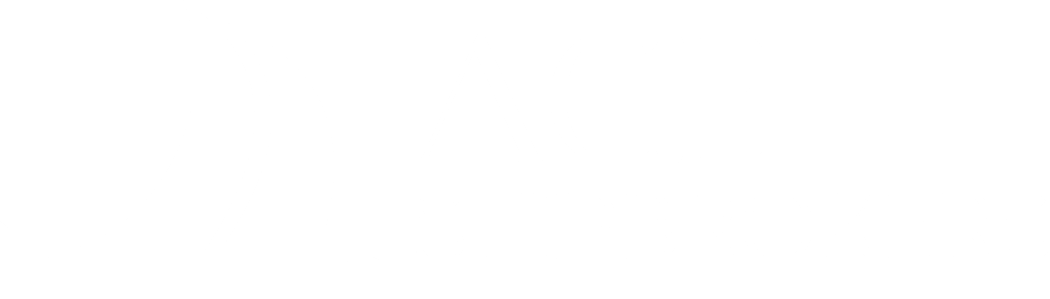 ACE Shipbrokers